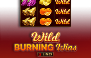 Игровой автомат Wild Burning Wins